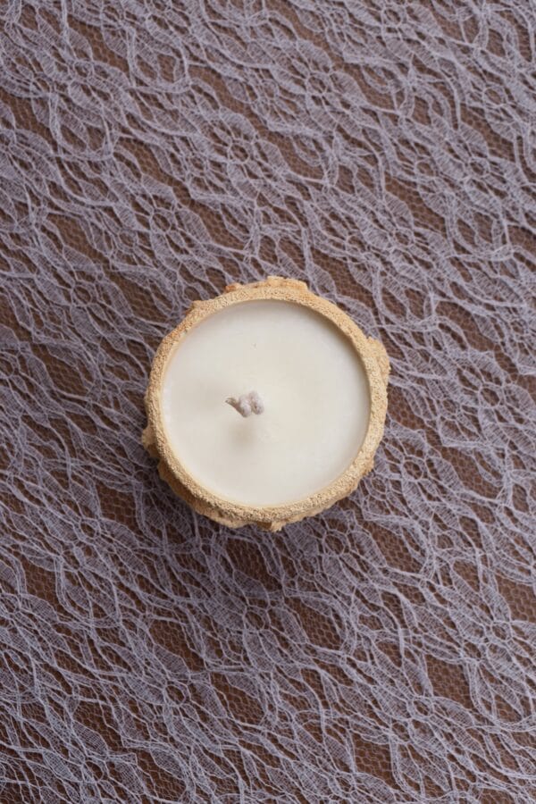 სანთელი ტყე, თაბაშირში - "ანანკე• Ananke"