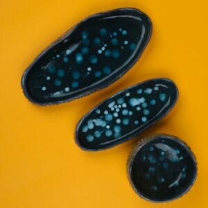 თხილეულის და ჩირის სეტი - "ფოთფოთი • Potpot"