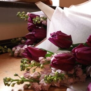 WhatsApp Image 2026-02-12 at 12.22.21 (1)