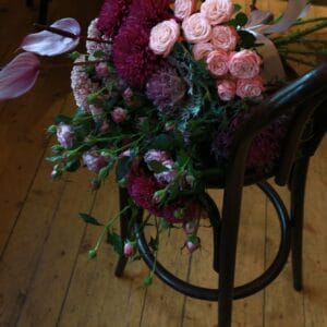 WhatsApp Image 2026-02-12 at 12.24.01