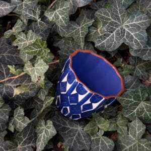 WhatsApp Image 2026-02-20 at 15.09.19