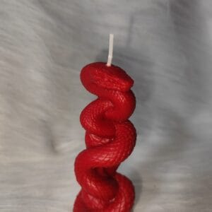 სანთელი, გველი - "Soul Flame • ხელნაკეთი არომატული სანთლები"