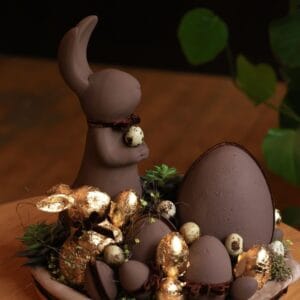 WhatsApp Image 2026-03-20 at 16.36.21 (1)