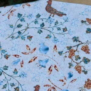 IMG_6266 (1) (1) (2) (1)