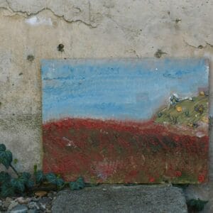 ყაყაჩოების ველი - "კატო თარგამაძე • Kato Targamadze"