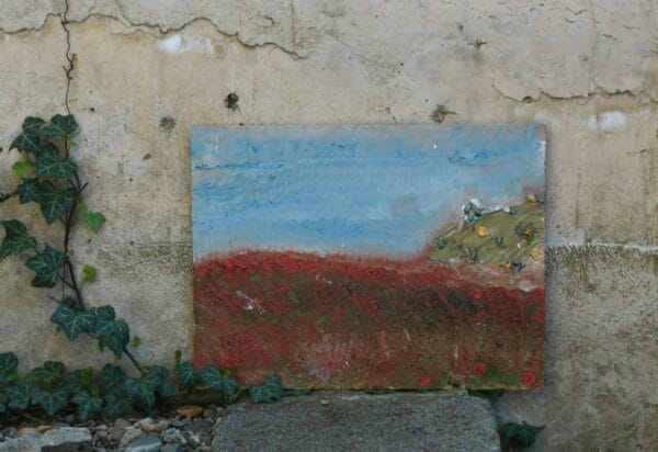 ყაყაჩოების ველი - "კატო თარგამაძე • Kato Targamadze"