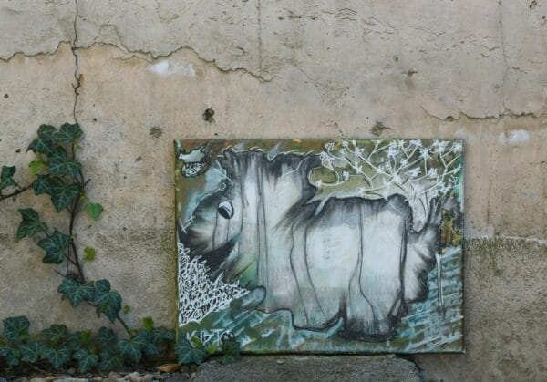 მარტოზავრი - "კატო თარგამაძე • Kato Targamadze"